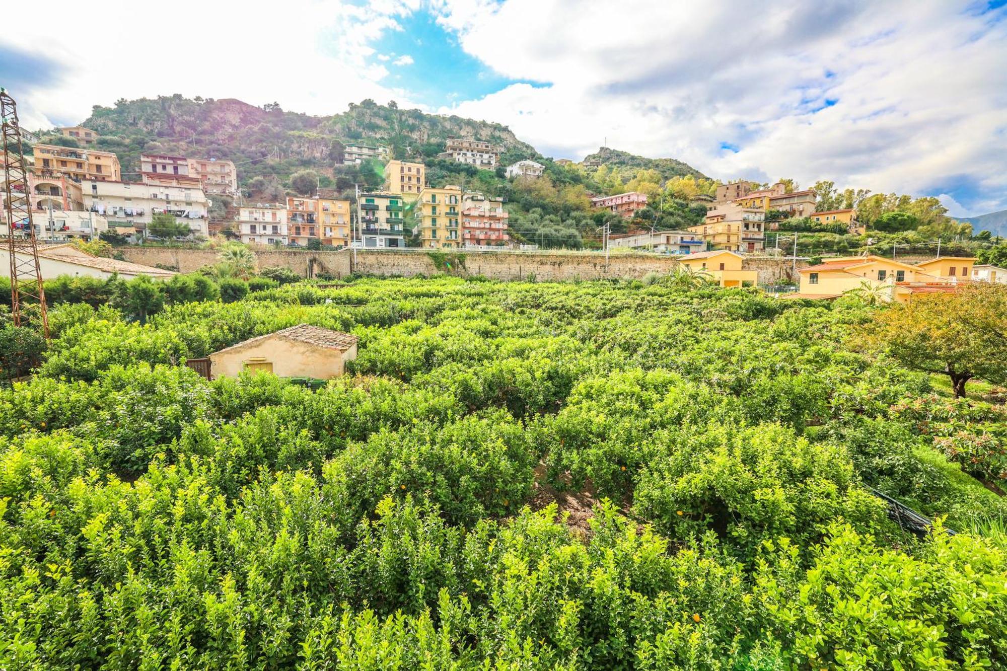 B&B Giardino Dei Cedri Trabia Εξωτερικό φωτογραφία